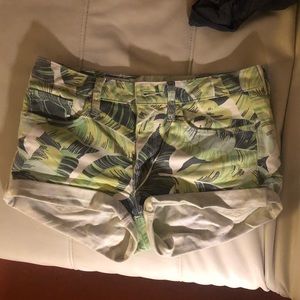Tropical Gap Shorts